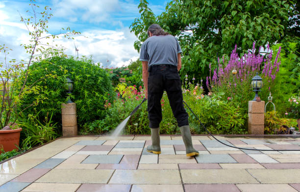 Best Fence Cleaning  in Hamlin, TX