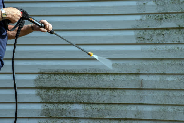 Best Building Exterior Washing  in Hamlin, TX